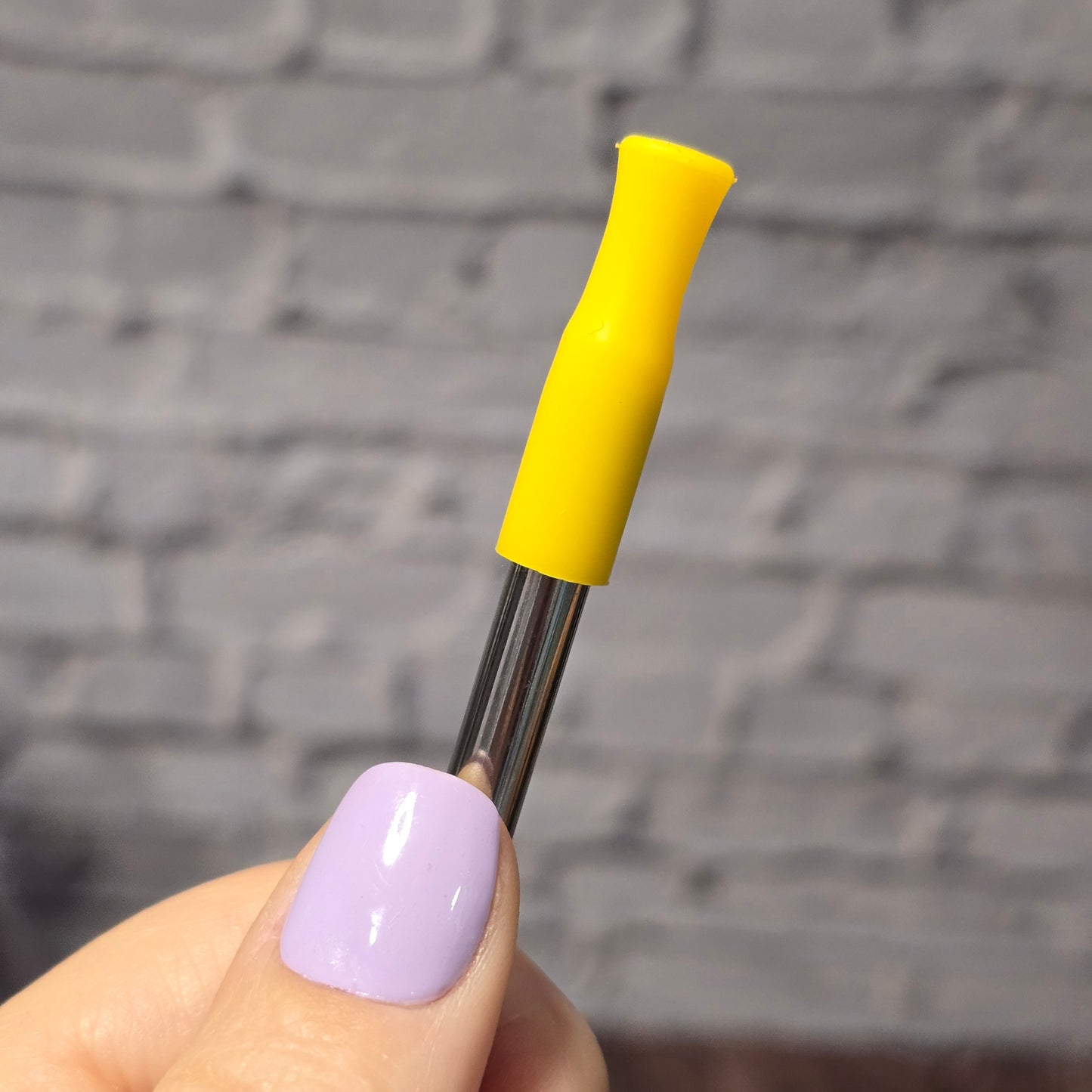 Embout pour paille en silicone | 12 couleurs