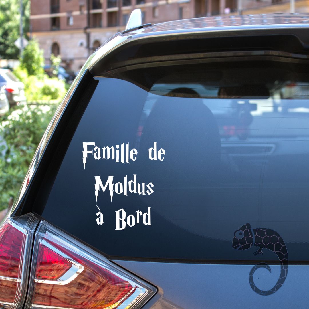 Décalque pour voiture | Moldu à Bord, Famille de Moldus à Bord ou Mandragore à Bord